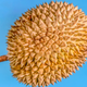 Illustration for article titled In space, no one can hear you scream from the smell of a durian
